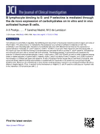 B Lymphocyte Binding to E- and P-Selectins Is Mediated Through the De Novo Expression of Carbohydrates on in Vitro and in Vivo Activated Human B Cells