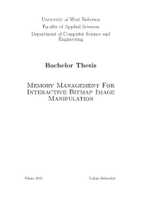 Bachelor Thesis Memory Management for Interactive Bitmap Image