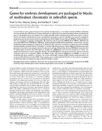 Genes for Embryo Development Are Packaged in Blocks of Multivalent Chromatin in Zebrafish Sperm