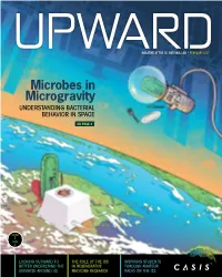 Microbes in Microgravity UNDERSTANDING BACTERIAL BEHAVIOR in SPACE
