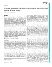 Polarisome Assembly Mediates Actin Remodeling During Polarized Yeast and Fungal Growth Ying Xie and Yansong Miao*