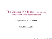 Vortex-Gas- and Random Walk Representations