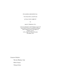Austin Mathews Edited Thesis Final 2