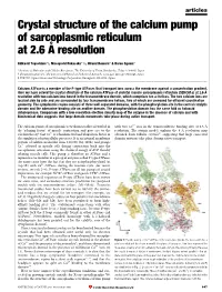 Crystal Structure of the Calcium Pump of Sarcoplasmic Reticulum at 2.6 AÊ Resolution