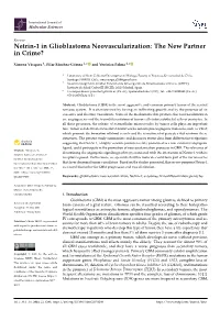 Netrin-1 in Glioblastoma Neovascularization: the New Partner in Crime?