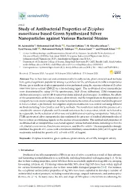 Study of Antibacterial Properties of Ziziphus Mauritiana Based Green Synthesized Silver Nanoparticles Against Various Bacterial Strains