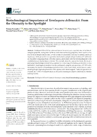 Biotechnological Importance of Torulaspora Delbrueckii: from the Obscurity to the Spotlight