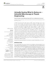 Intravital Microscopy in Tissue Engineering