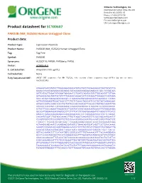PARD3B (NM 152526) Human Untagged Clone Product Data