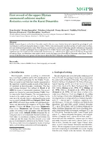 First Record of the Upper Illyrian Ammonoid Subzone Marker Reitziites Reitzi in the Karst Dinarides