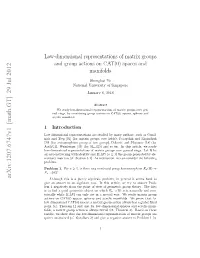 Low-Dimensional Representations of Matrix Groups and Group Actions on CAT (0) Spaces and Manifolds