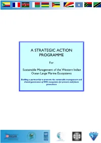 Strategic Action Programme (SAP)