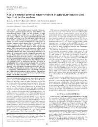 Nlk Is a Murine Protein Kinase Related to Erk/MAP Kinases and Localized In
