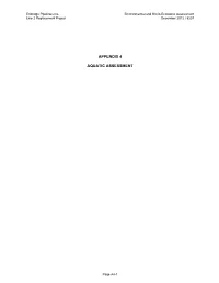 Prepared For: Prepared By
