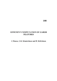 Efficient Computation of Gabor Features