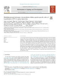 Multidimensional Informatic Deconvolution Defines Gender