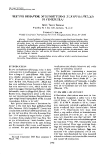 Nesting Behavior of Sunbitterns (Eurypyga Helias) in Venezuela ’