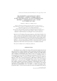 The Chorthippus Albomarginatus-Group (Orthoptera: Acrididae: Gomphocerinae) in the Carpathian Basin: Traces of Hybridization Between C
