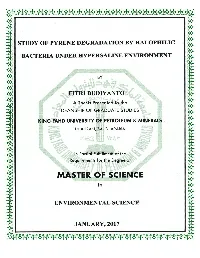 FINAL REPORT.Pdf