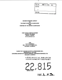 Geological Branch Assessment Report