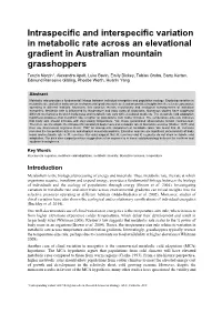 Intraspecific and Interspecific Variation in Metabolic Rate Across an Elevational Gradient in Australian Mountain Grasshoppers