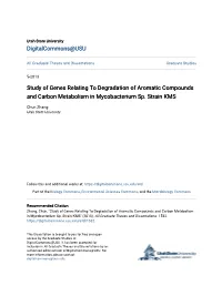 Study of Genes Relating to Degradation of Aromatic Compounds and Carbon Metabolism in Mycobacterium Sp. Strain KMS