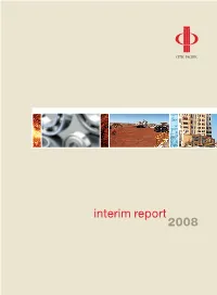 Interim Report Report Interim