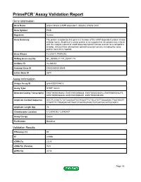Primepcr™Assay Validation Report