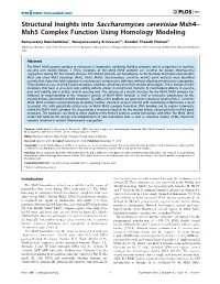 Structural Insights Into Saccharomyces Cerevisiae Msh4– Msh5 Complex Function Using Homology Modeling