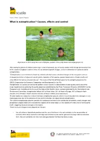 What Is Eutrophication? Causes, Effects and Control