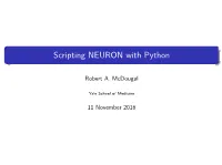 Scripting NEURON with Python