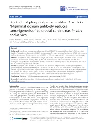 Blockade of Phospholipid Scramblase 1 with Its N-Terminal Domain
