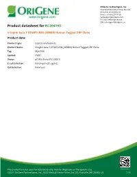 Integrin Beta 7 (ITGB7) (NM 000889) Human Tagged ORF Clone Product Data
