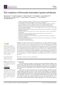Iron Complexes of Flavonoids-Antioxidant Capacity and Beyond