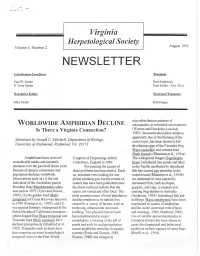 Newsletter V5-N2