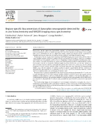 Region-Specific Bioconversion of Dynorphin Neuropeptide Detected