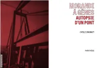Autopsie D'un Pont