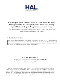 Cephalopod Beak Sections Used to Trace