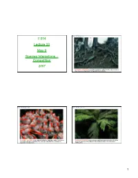 Lecture 33 May 9 Species Interactions – Competition 2007
