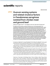 Quorum Sensing Systems and Related Virulence Factors in Pseudomonas