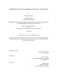 Insights Into the Role and Mechanism of the AAA+ Adaptor Clps