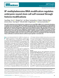N6-Methyladenosine RNA Modification Regulates Embryonic Neural Stem Cell Self-Renewal Through Histone Modifications