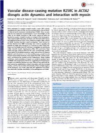Vascular Disease-Causing Mutation R258C in ACTA2 Disrupts Actin Dynamics and Interaction with Myosin