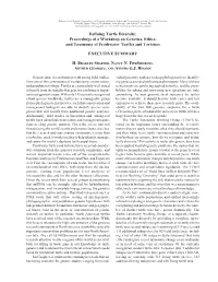06-Executive Summary