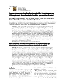 Comparative Study of Sulfated Polysaccharides from Caulerpa Spp