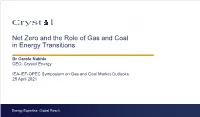 Net Zero and the Role of Gas and Coal in Energy Transitions