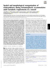 2007151117.Full.Pdf