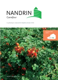 Carrefour Automne 2018 Bd.Pdf
