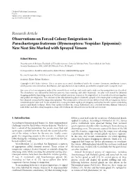 Observations on Forced Colony Emigration in Parachartergus Fraternus (Hymenoptera: Vespidae: Epiponini): New Nest Site Marked with Sprayed Venom