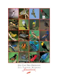 Sourcebook.Pdf